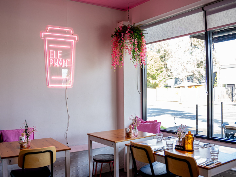 Elephant Cafe - Newport slider image