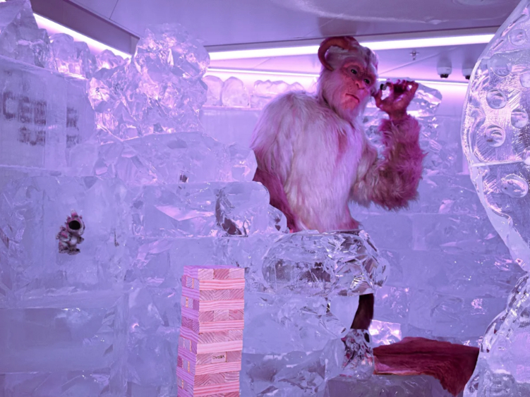 IceBar Surfers slider image