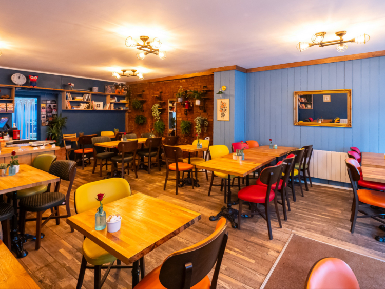 The Blue Owl slider image