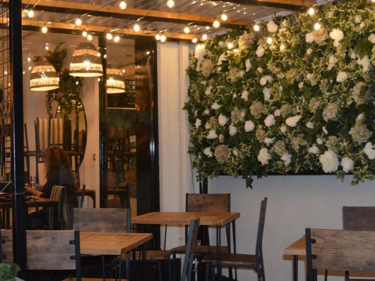 Starlings slider image