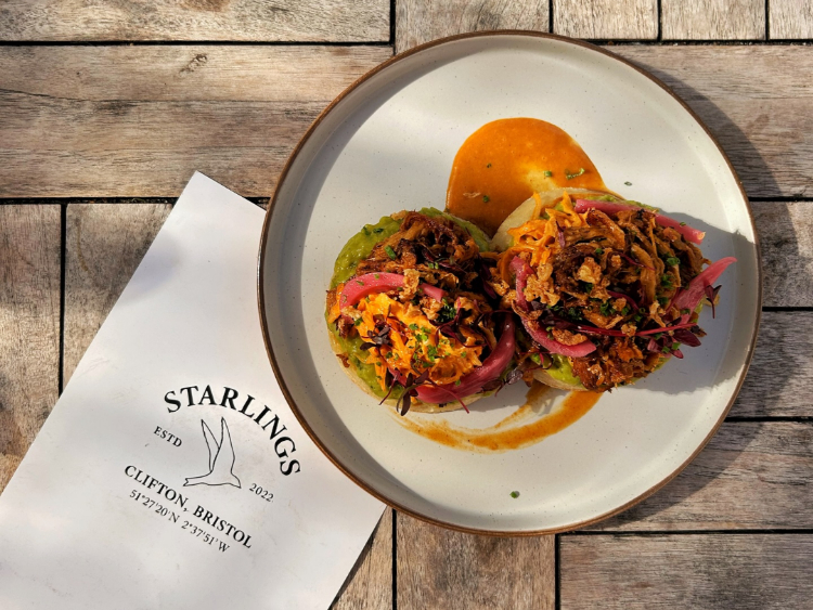 Starlings slider image