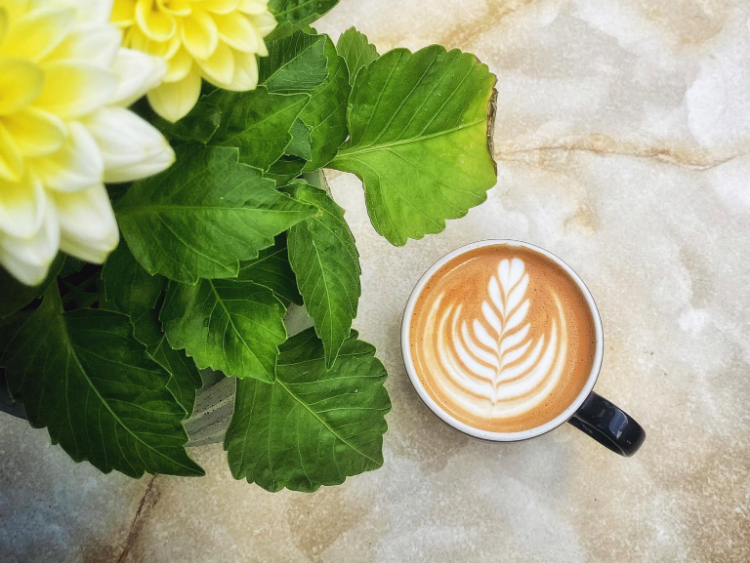 Uncommon Ground Coffee Roastery - Cathedral Road slider image
