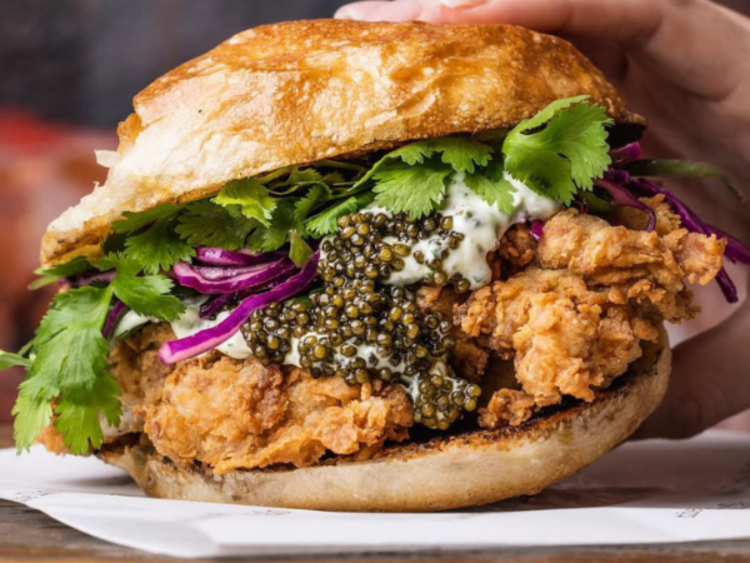 The Lion and Buffalo slider image