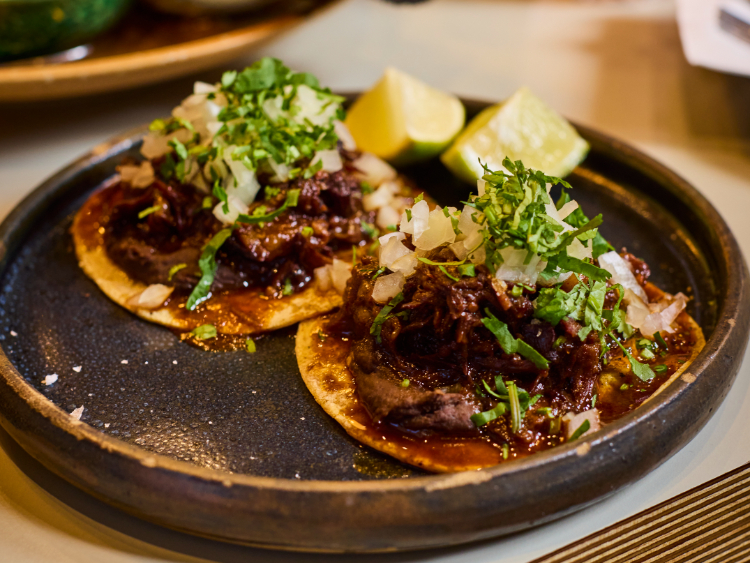 Lucia's slider image