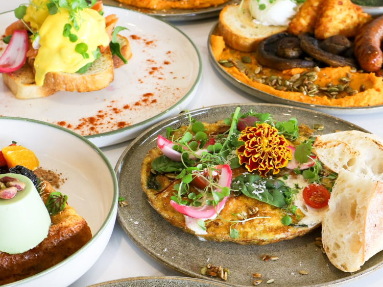 THIS and THAT slider image