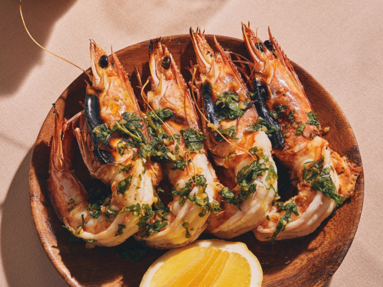 uccello slider image