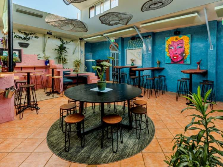 Wild in The Street slider image