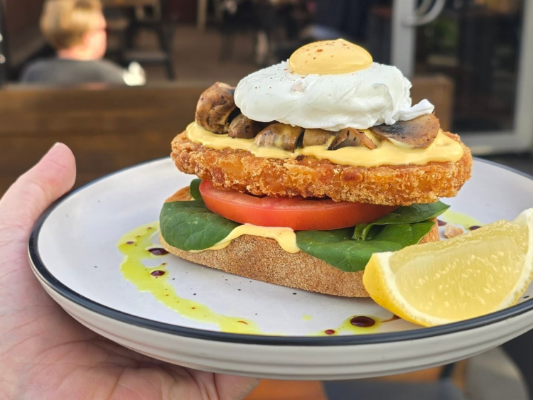 The White Rabbit Cafe, Bar and Grill slider image