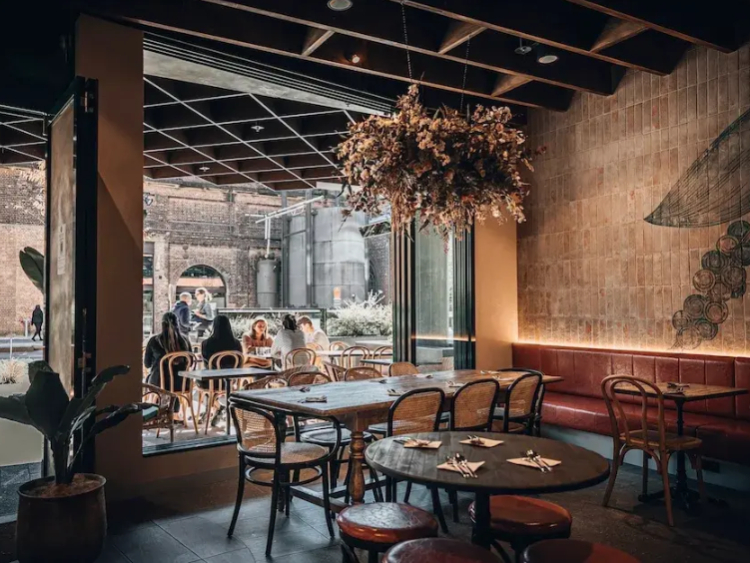 Pepper Seeds - South Eveleigh slider image