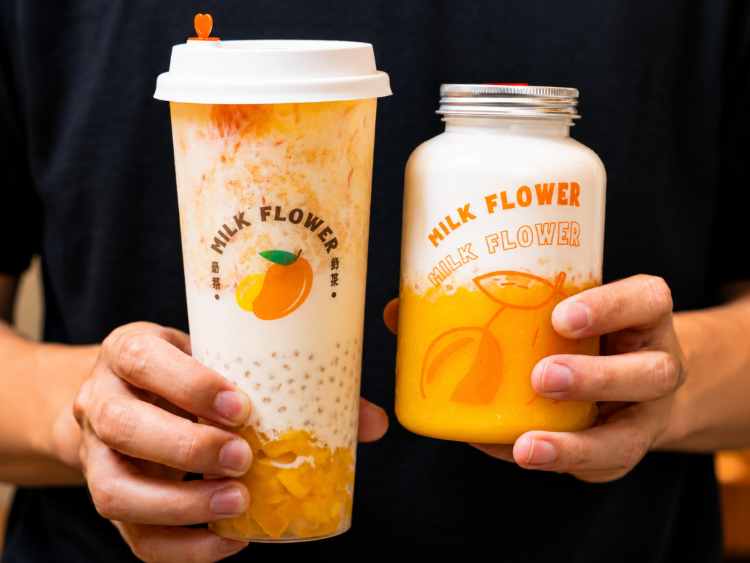 Milk Flower - Cockburn slider image