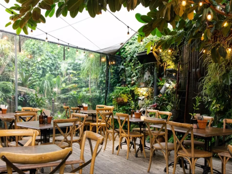 The Garden Shed slider image