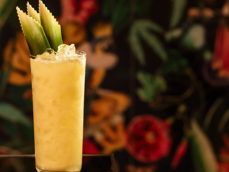 Kosmopol slider image