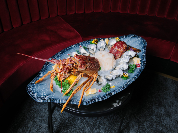 Sky Phoenix slider image