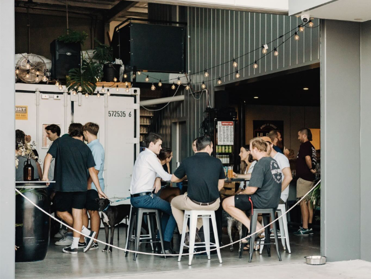 Shout Brewing slider image