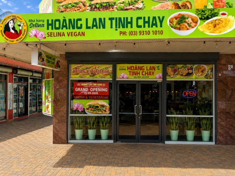 Selina Hoang Lan Tinh Chay slider image