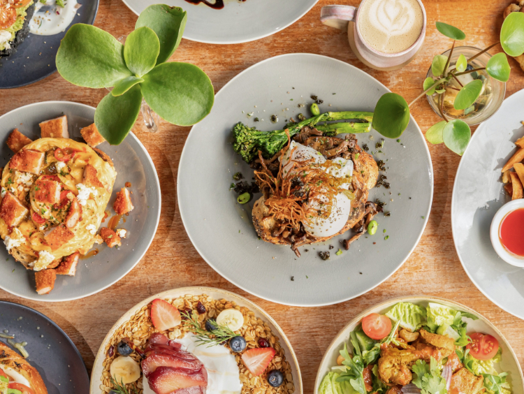 Primily Brews Cafe slider image