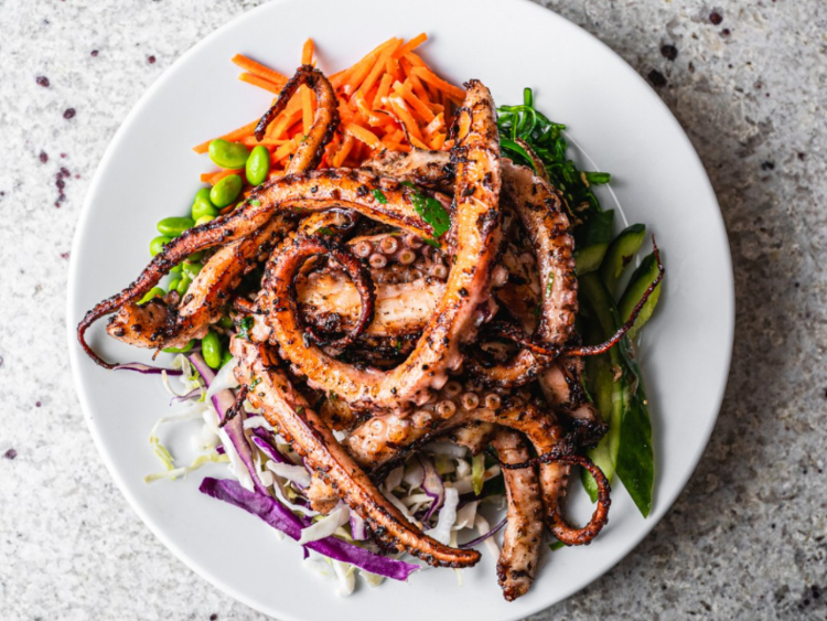 Mister Fish slider image