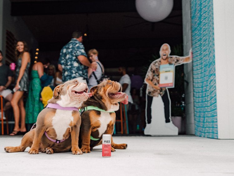Hard Fizz Taproom slider image
