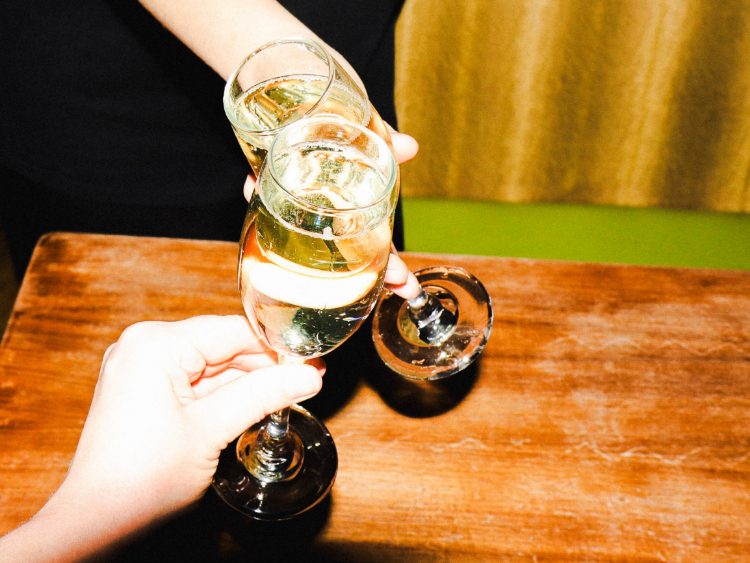 Lost Cat slider image