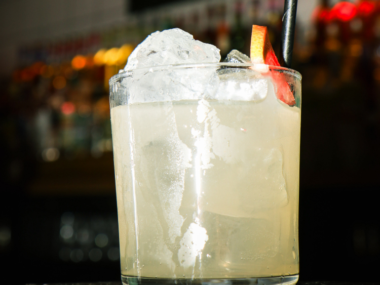 Lost Cat slider image