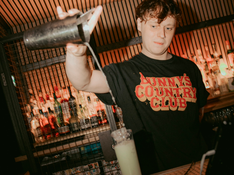 Lost Cat slider image