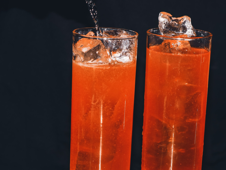 Lost Cat slider image