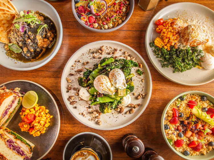 Journeyman slider image