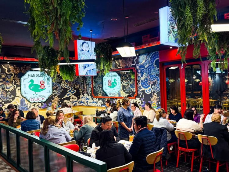 Mandarin Duck - Modbury slider image