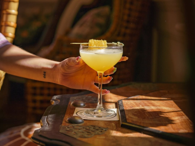 Bar Paloma's slider image