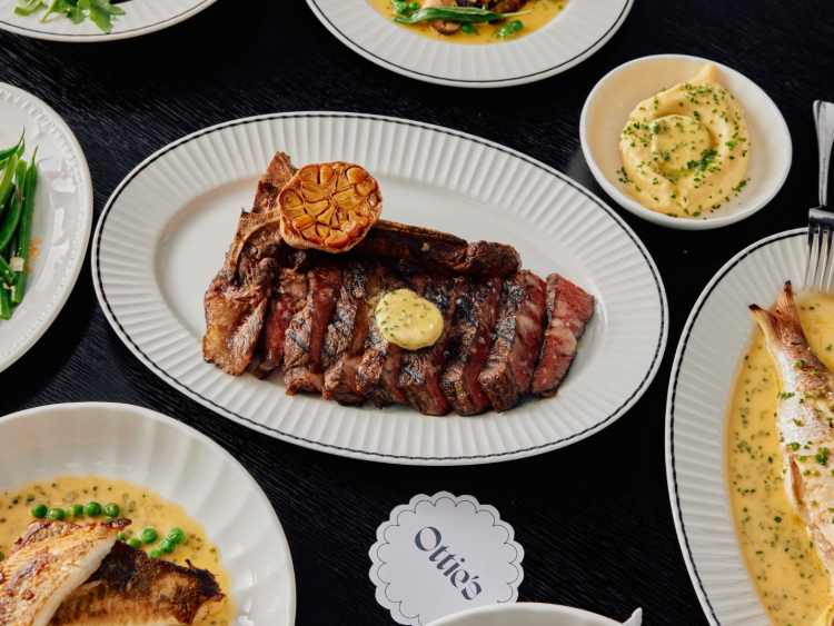 Ottie's slider image