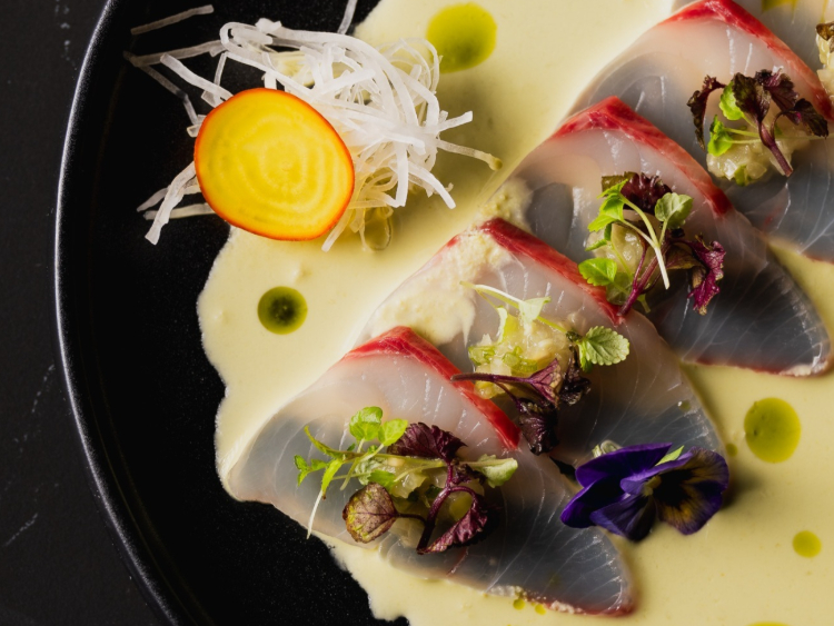 Zypher Lounge slider image