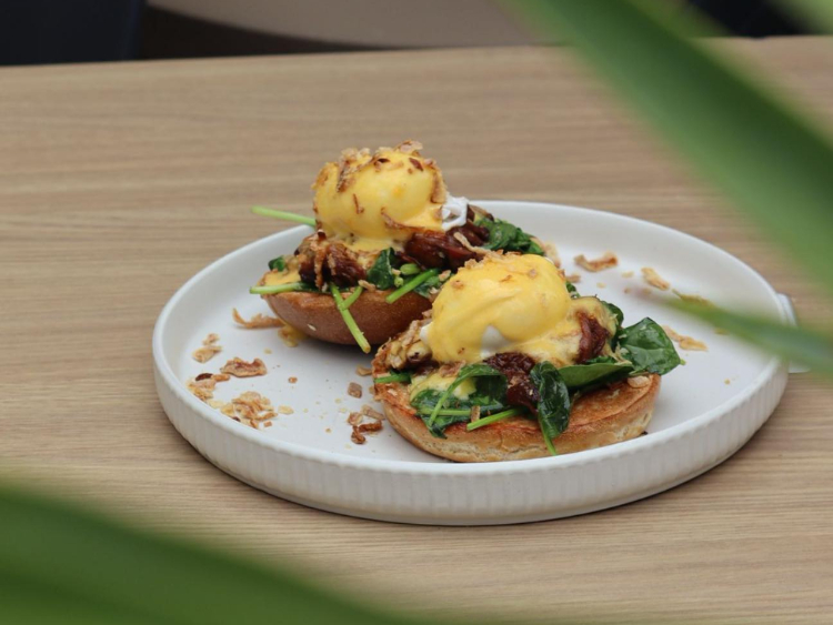 Toast slider image