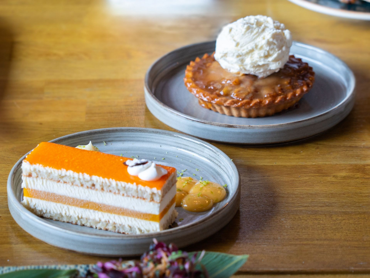 Chi Bristol slider image