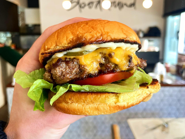 Bloodhound Espresso slider image