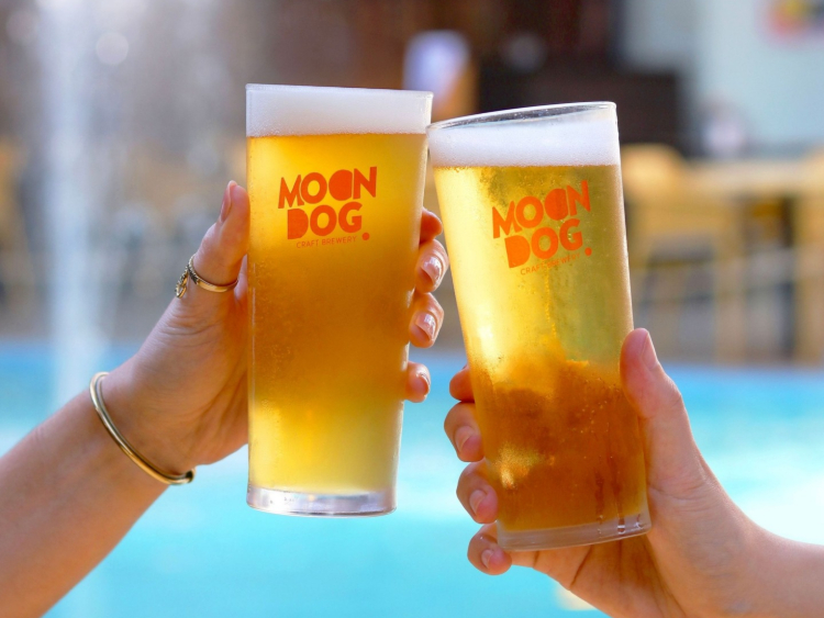 Moon Dog World slider image