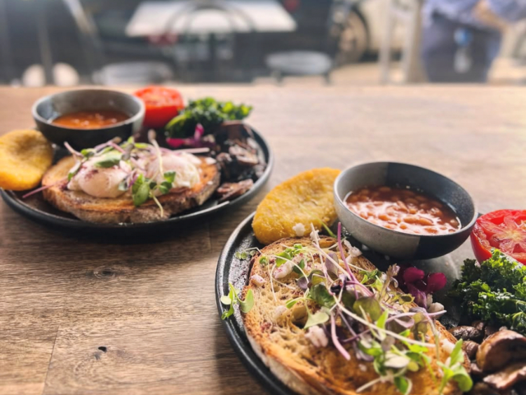 Muse - Ivanhoe slider image