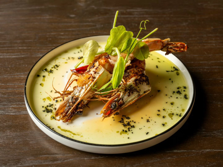 The Advocate slider image