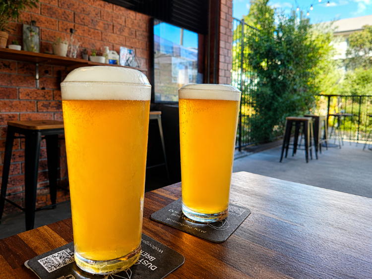 Dusty Lizard Brewing slider image