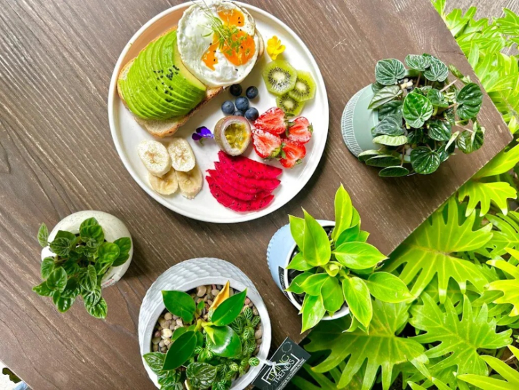 The Hidden Garden Cafe slider image