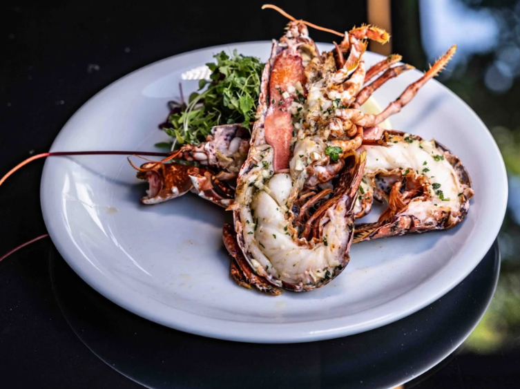 Avan Lounge slider image