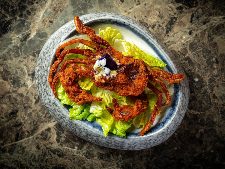 De Baga - Chapel Allerton slider image