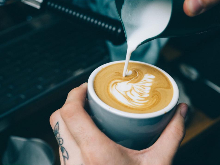 Urban Botanica slider image