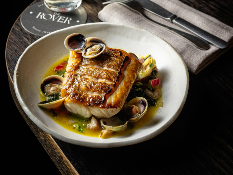 The Rover slider image