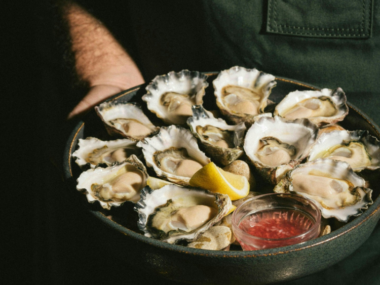 The Rover slider image